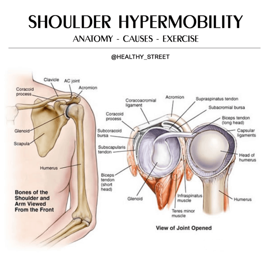 shoulder flexibility