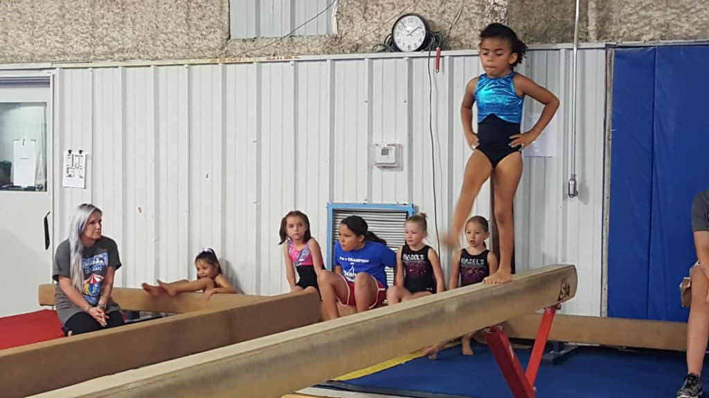 How Much Does Gymnastics Cost For Year